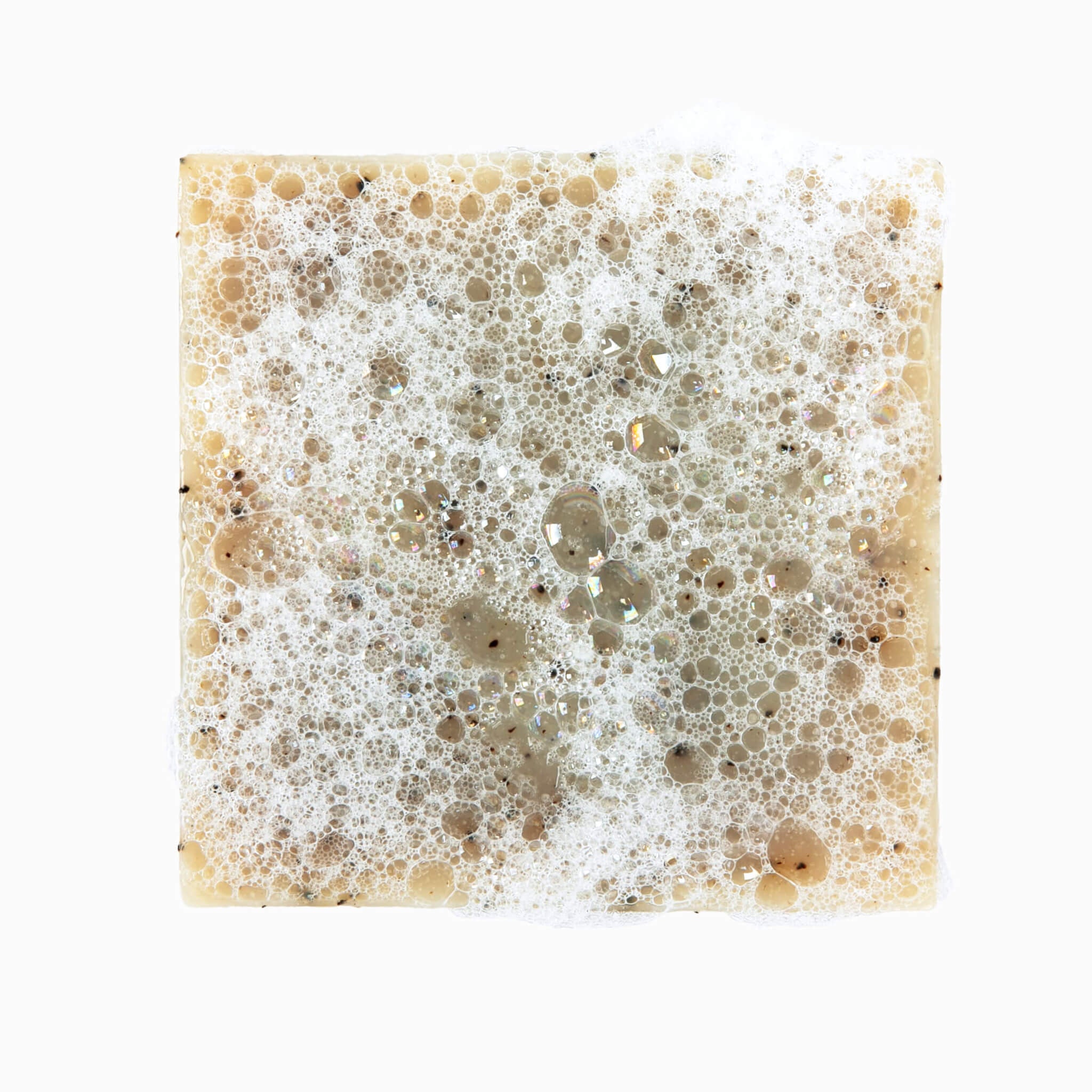 hi_res-62-FORESTBORN_r2_03D_5151.jpg?imgid=579b1271-37df-11ef-8203-3ba23b10ecb8