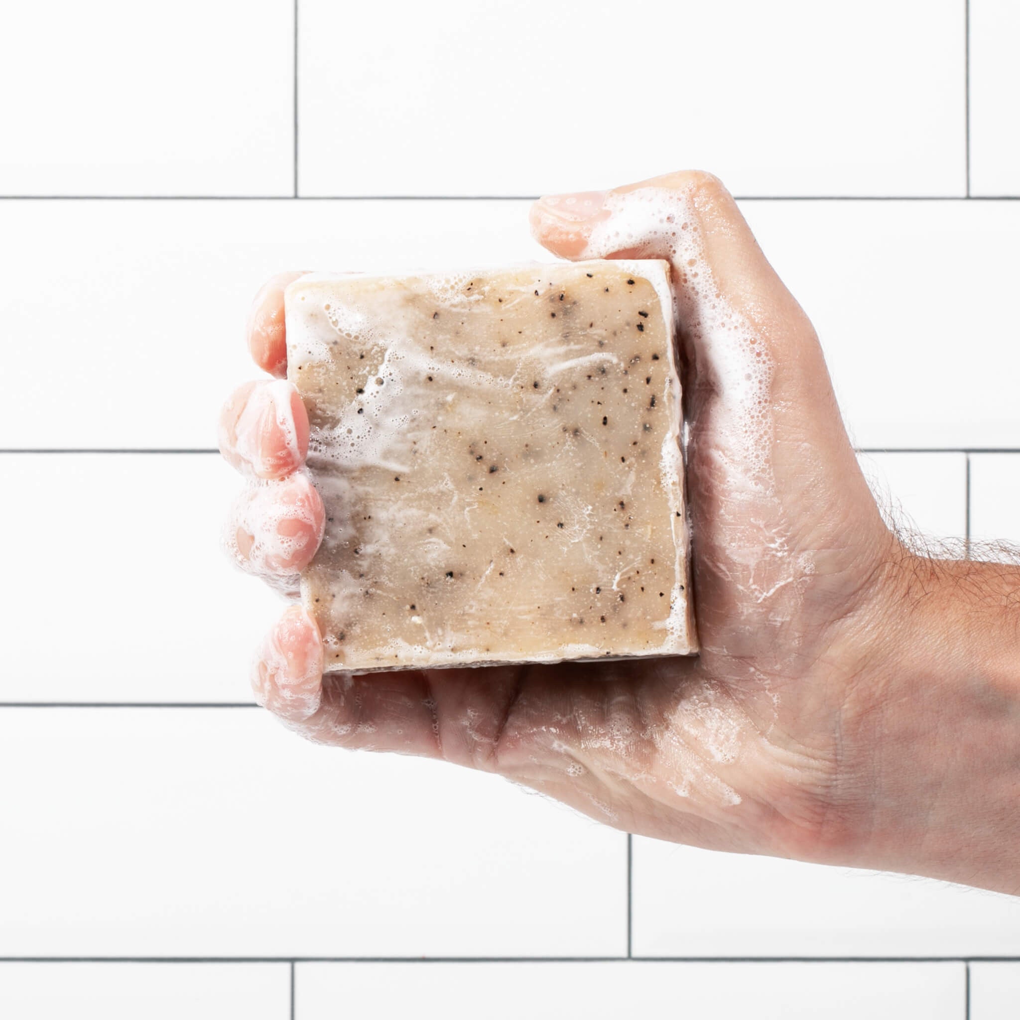 hi_res-af-FORESTBORN_r1_CY9A5185.jpg?imgid=579aeb62-37df-11ef-8203-3ba23b10ecb8