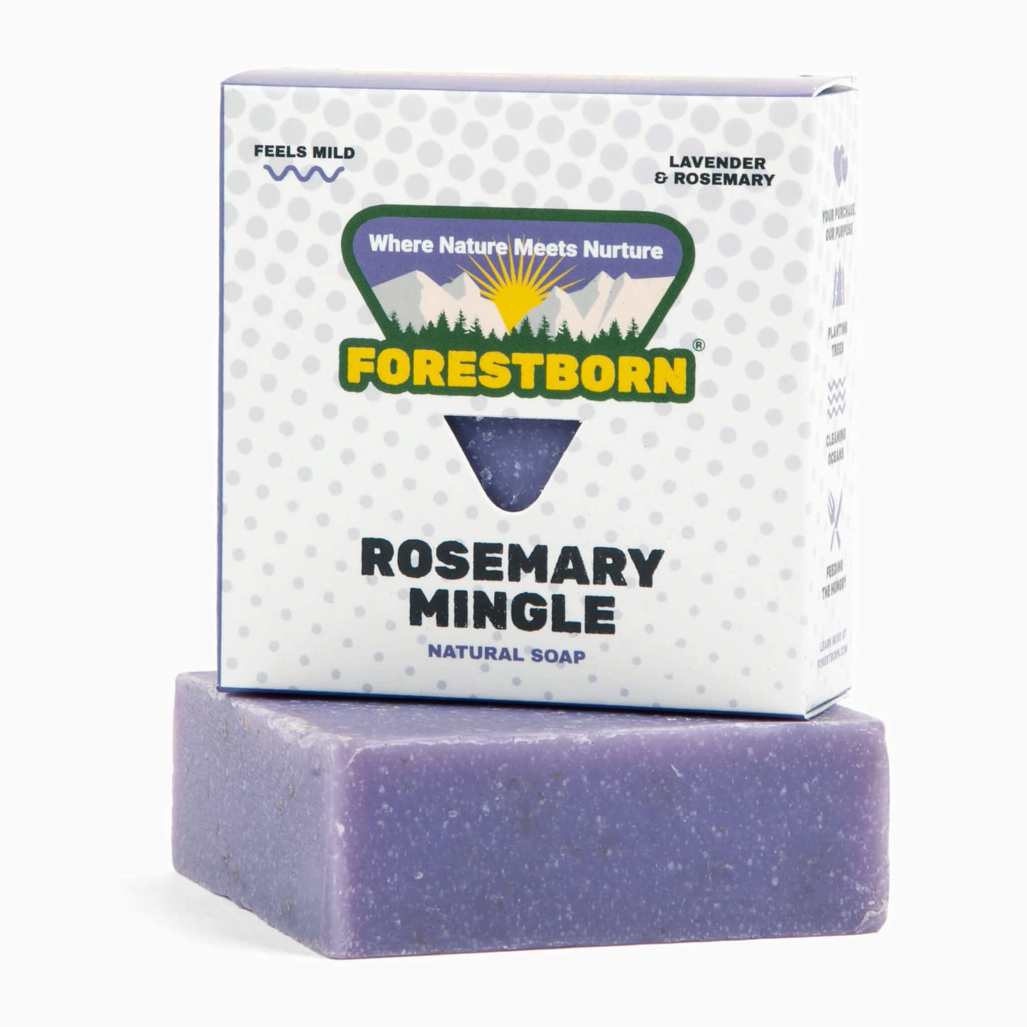 hi_res-5c-FORESTBORN_r2_03D_5078.jpg?imgid=33ec17c0-37df-11ef-b6fb-bfd6c9169d30