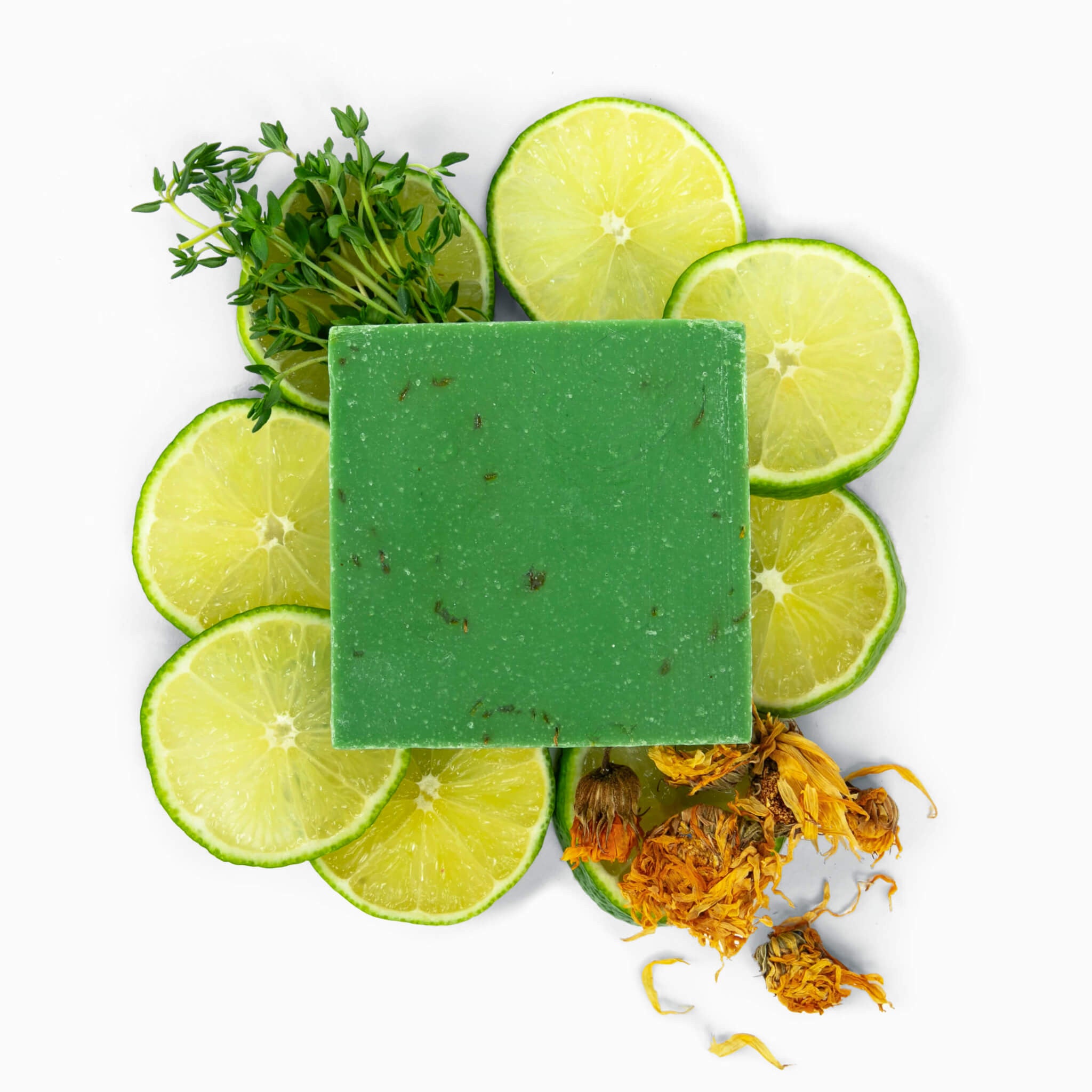 hi_res-6a-FORESTBORN_r1_03D_5120.jpg?imgid=106edb71-37df-11ef-bb99-df50616a5aac