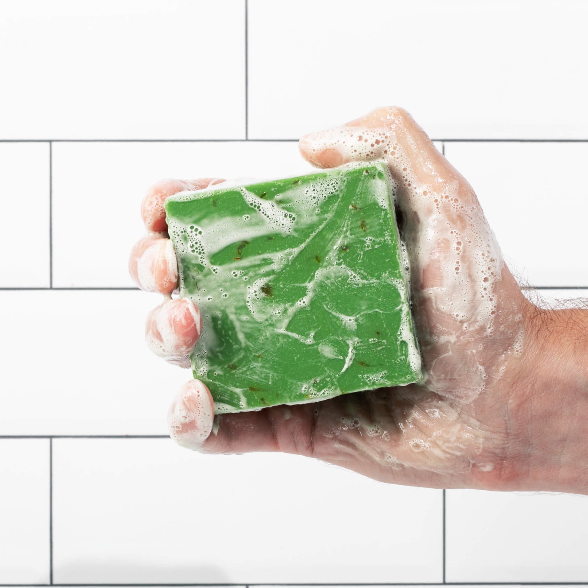 hi_res-b8-FORESTBORN_r1_CY9A5178.jpg?imgid=106edb72-37df-11ef-bb99-df50616a5aac