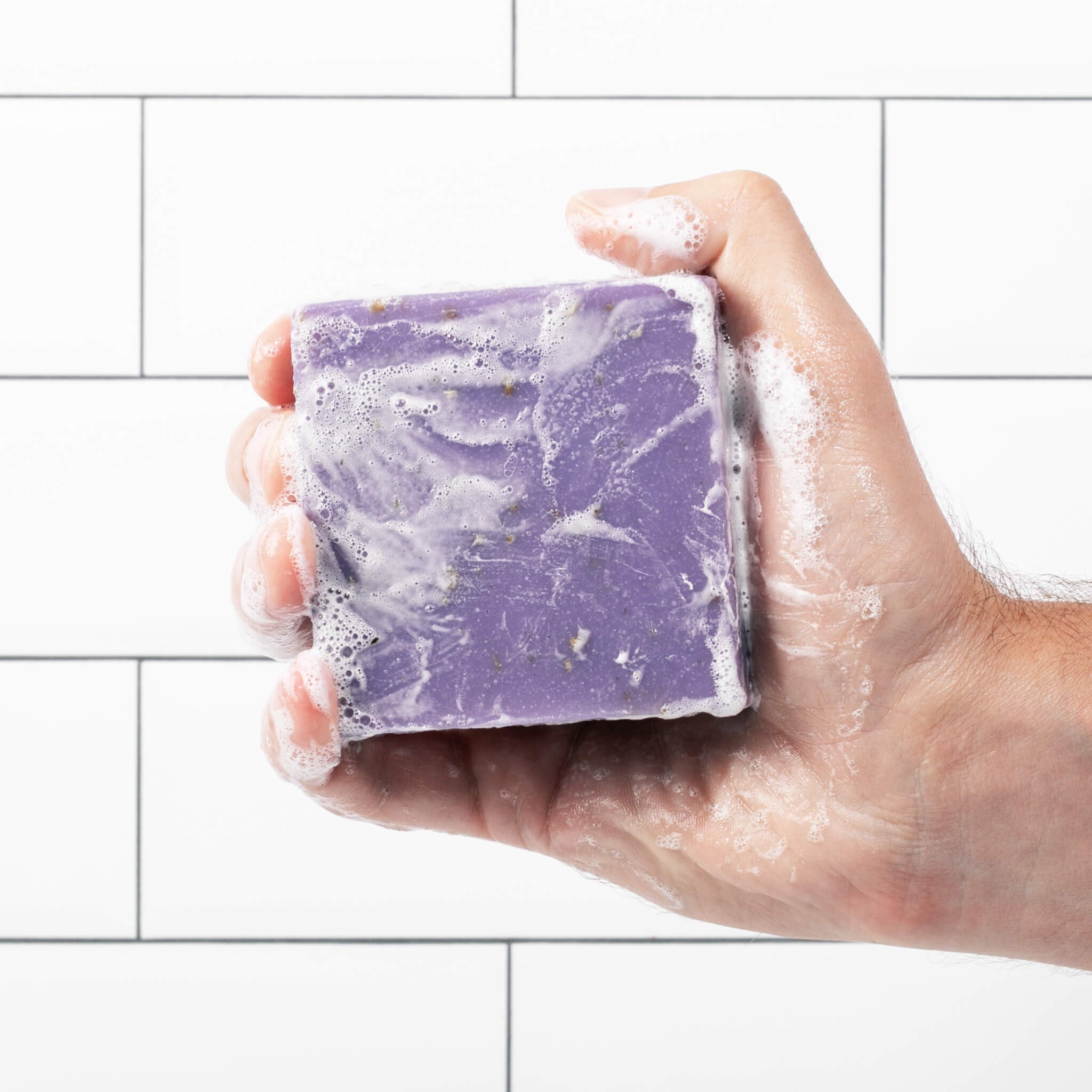 hi_res-ba-FORESTBORN_r1_CY9A5181.jpg?imgid=33ec17c2-37df-11ef-b6fb-bfd6c9169d30