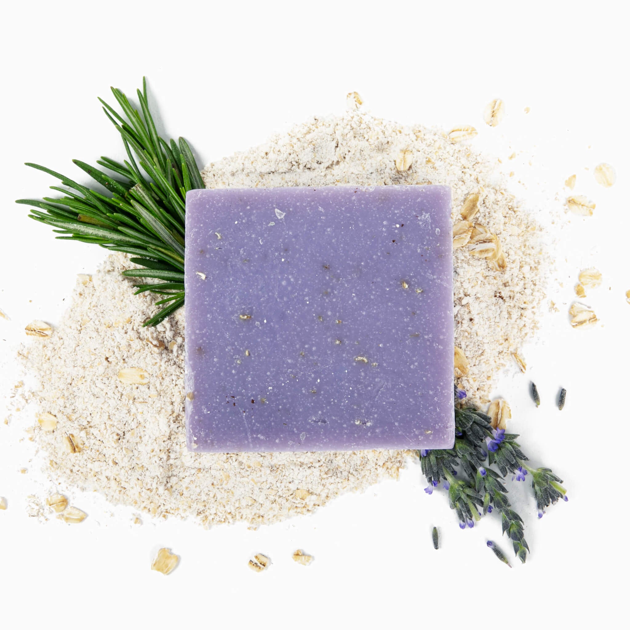 hi_res-64-FORESTBORN_r1_03D_5109.jpg?imgid=33ec17c1-37df-11ef-b6fb-bfd6c9169d30